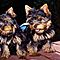Adorable-male-and-female-teacup-yorkie-puppies-for-adoption